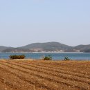 당산  마을회관 이미지