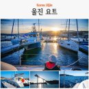 햇빛부서지는바다 | 국내 뚜벅이 여행 버스 겨울 동해 바다 울진 후포항 요트투어 등기산 스카이워크