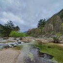 송천목장 이미지