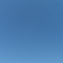 춘자김밥 이미지