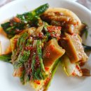 약수장 티스토리