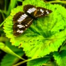 양평물맑은시장 이미지