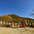 진도 운림산방 티스토리