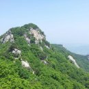 늘푸른온누리약국 이미지