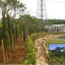 늘푸른공간 이미지