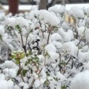 백현초등학교(병설) 이미지