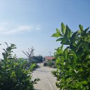 온평리에 펜션 이미지