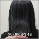 예지헤어숍 | [인천 부평] 부평동미용실 26도헤어 부평역점 레이어드컷 + 클리닉 받고 온 후기