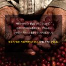 컴포즈커피보수