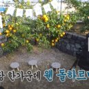 정훈농장2 이미지