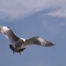 제부도 초소 이미지