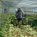 아놀드짐 이미지