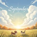 푸른하늘 동물병원 이미지