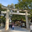 EG투어버스 J코스 | 후쿠오카 버스투어 후기(다자이후-유후인-유후다케-벳푸)