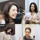 (주)윌엔터테인먼트 스타뉴스