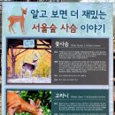 우리사슴