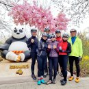 초광산단동로 이미지