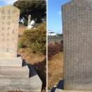 오조리-7 이미지