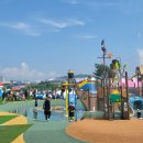 낙동강변26 이미지