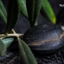 백산강화실버홈 네이버블로그