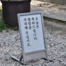 신궁 | [도쿄 여행 코스] 하라주쿠 메이지신궁 산책과 오미쿠지 후기