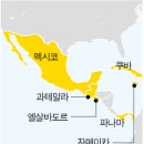 커피그레이스 이미지