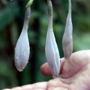 상계주공2단지 이미지