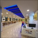 상신리코코네 이미지