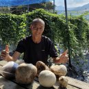 산내면 입석마을 이미지