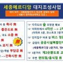 세종이마트 버스정류장 이미지
