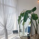 4℃(사도씨) 이미지