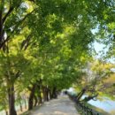 보보스테이크아웃 이미지