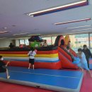 고려대 박연정 태권도 이미지