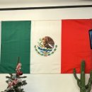 리얼타운비즈니스 타코 이미지