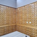 초지라성약국 이미지