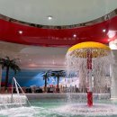 개in공간 이미지