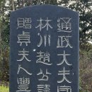 추사 김정희 친필 조기복 묘표 이미지
