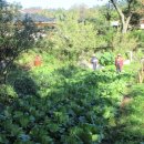 동승당구장 이미지