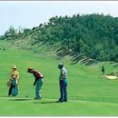 회원프라자 이미지