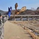 경북야생동물구조관리센터 이미지