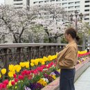 세븐일레븐 우산행복점 | 후쿠오카 둘째날, 비오는 날도 좋았던 하루(빵스톡, 오호리 공원, 문구소품샵)