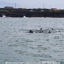 안녕,오늘도카페 이미지