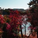 명덕호수공원 이미지