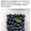 네일그램
