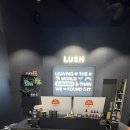 러쉬 빈통 리워드 이벤트 후기｜카타스트로피 코스메틱 사용기