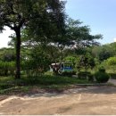 과일농장 - 금천구 독산로65길 27 | 과일농장