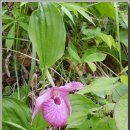 바우농장 이미지