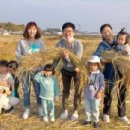 친환경까치마을 이미지