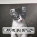 캣츠앤독스 | 여의도 지하벙커에서 만난 특별한 동물 이야기, <캣츠앤독스> 전시 후기