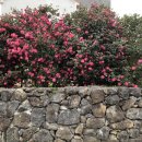 그꽃카페 이미지